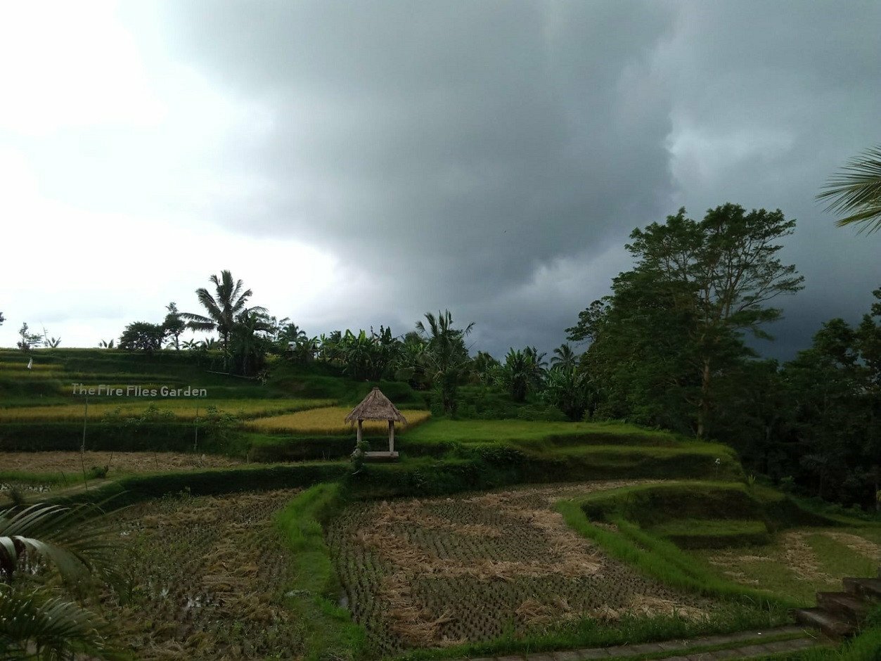 Partha Adnyana: Bali Tak Boleh Bergantung Pariwisata, Layak Jadi Tourism Hub - JPNN.com Bali