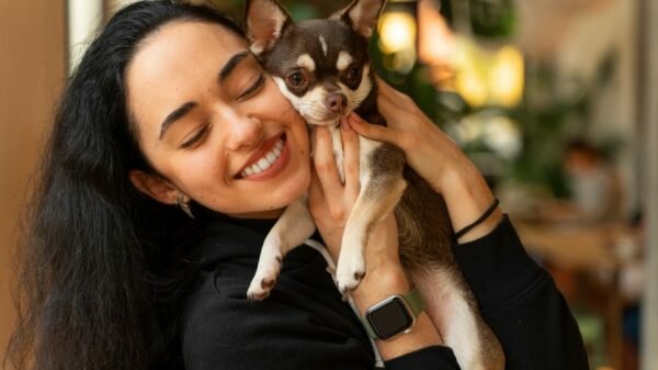 10 Jenis Anjing Peliharaan Lucu untuk Dipelihara Di Rumah!