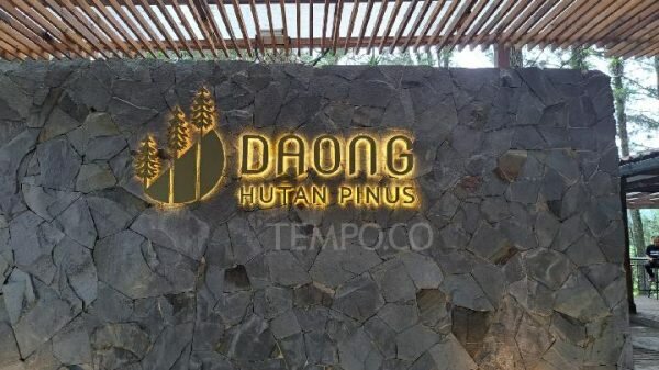 Menikmati Secangkir Kopi di Tengah Hutan Pinus Bogor