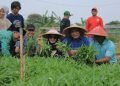Kelompok wani tani Tangerang manfaatkan lahan jadi pertanian produktif