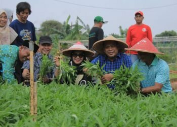 Kelompok wani tani Tangerang manfaatkan lahan jadi pertanian produktif