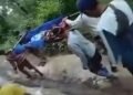https: img.okezone.com content 2024 01 07 525 2950923 viral-warganya-terpaksa-ditandu-gegara-jalan-rusak-begini-komentar-wabup-sukabumi-6JiJFFWlU9.JPG