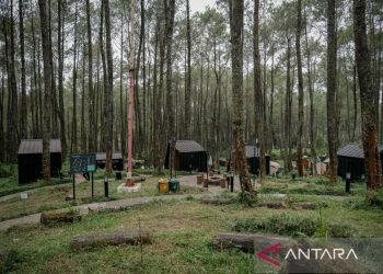 Kemenparekraf-Bizhare fasilitasi pendanaan kepada Bobocabin