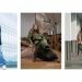 Bunga Citra Lestari Style: Versatile, Elegan, Fun, dan Muda